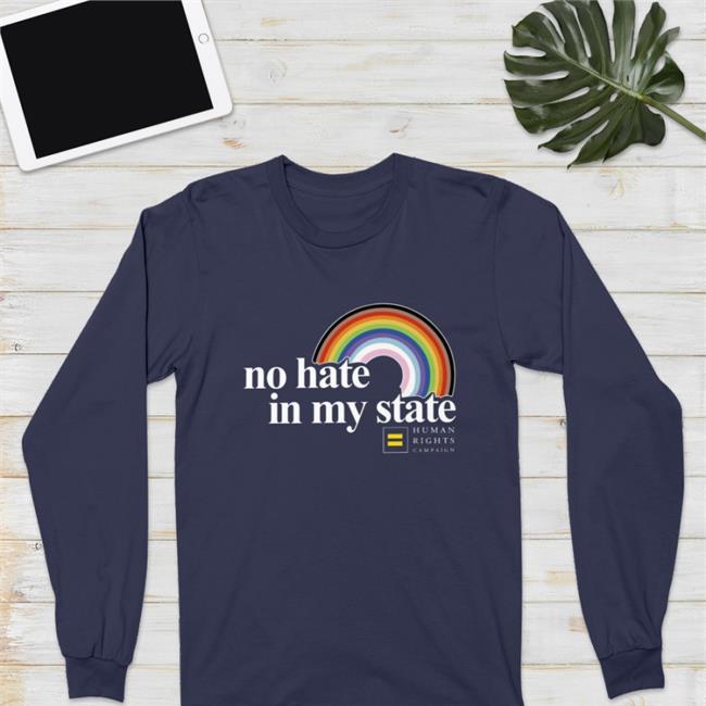 Ron Desantis No Hate In My State Rainbow Shirt No Hate In My State Rainbow Shirt