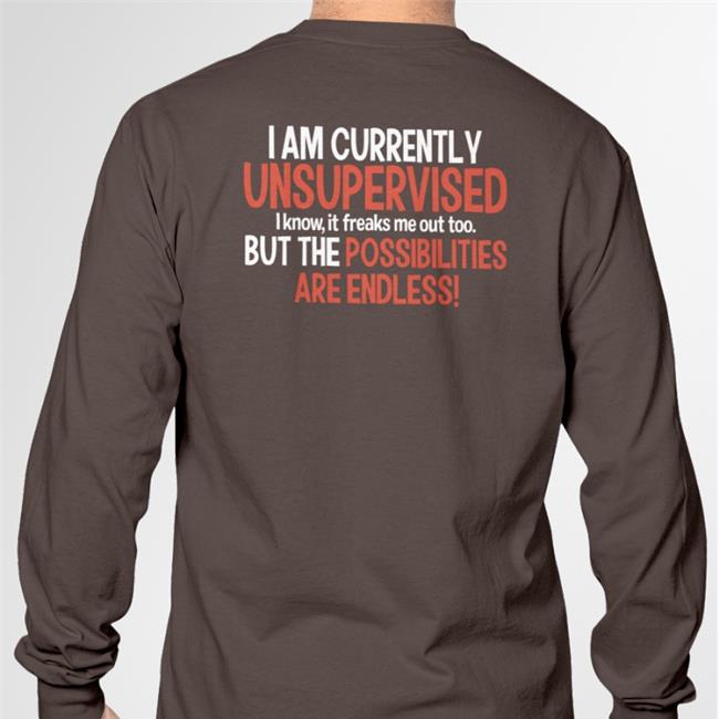 I Am Currently Unsupervised But The Possibilities Are Endless Hoodie Shepherd
