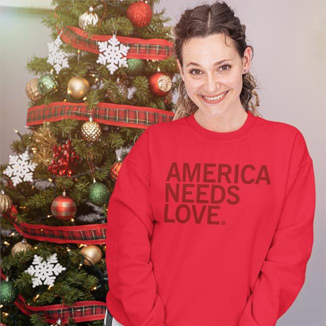 Raygunsite America Needs Love Hoodie