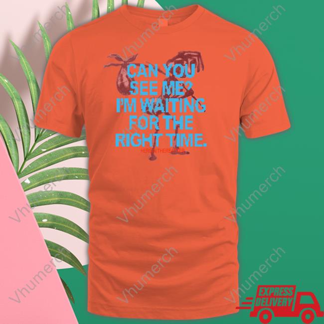 Can You See Me I'm Waiting For The Right Time Shirt, T Shirt, Hoodie, Sweater, Long Sleeve T-Shirt And Tank Top Thepaulaquino