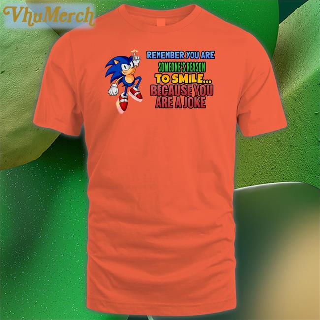 Sonic Remember You Are Someone's Reason To Smile Because You Are A Joke Shirts