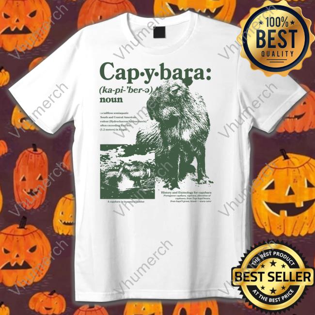 Noun Defined Capybaraman Shop T-Shirt
