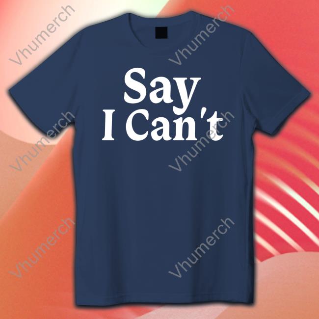 Dream On 3 Say I Can't Hoodie Sweatshirt