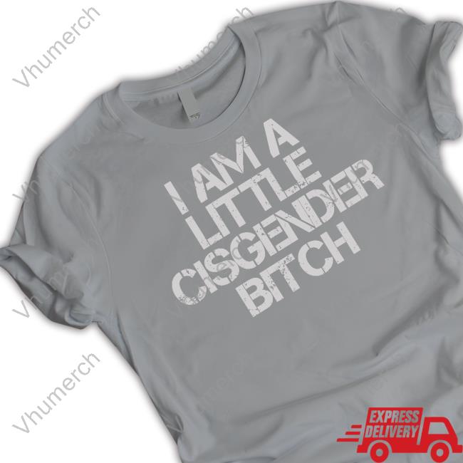 I Am A Little Cisgender Bitch Hoodied Sweatshirt Elon Musk