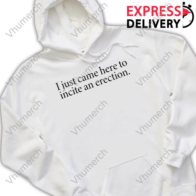 Tshirthell Store I Just Came Here To Incite An Erection Hoodie