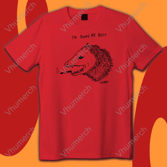Really Good Artist I'm Doing My Best T Shirt Mgray I'm Doing My Best Shirt