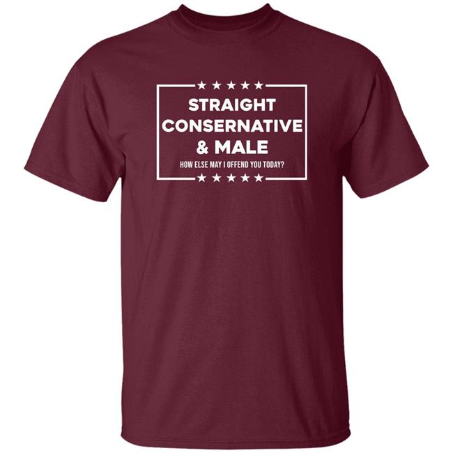 Straight Conservative And Male How Else May I Offend You Today Shirt Hodgetwins Straight Conservative And Male How Else May I Offend You Today Shirt Hodgetwins