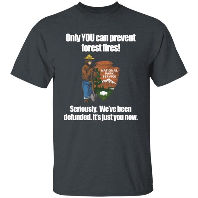 Bring Me Tacos Store Only You Can Prevent Forest Fires Shirt Smokey Bear Defunded Only You Can Prevent T-Shirt
