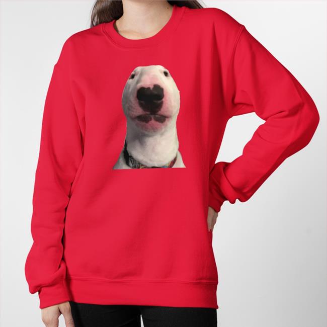 100T Vinnie Black Walter Meme Dog Shirt