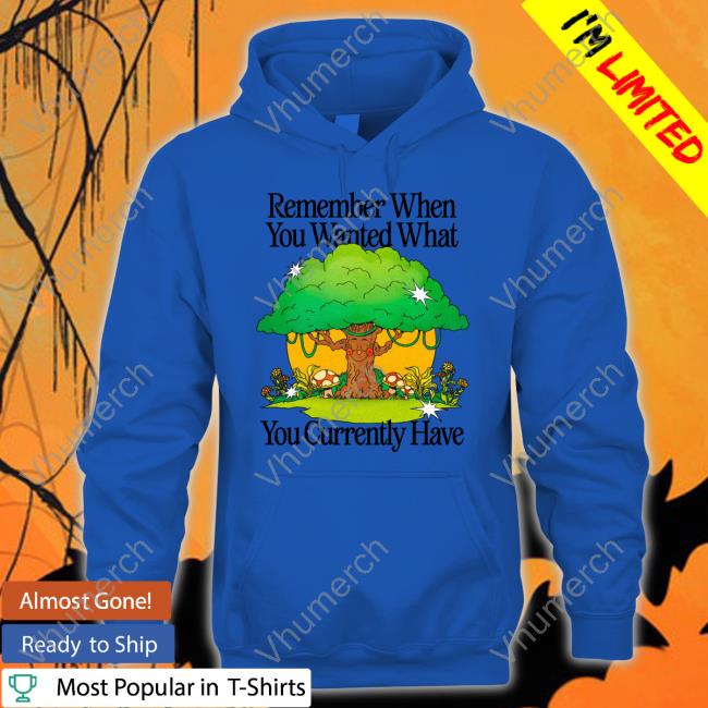 Remember When You Wanted What You Currently Have Funny T Shirt Madebynelson