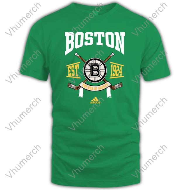 Boston Bruins Boston The Hub Of Hockey Hoodie
