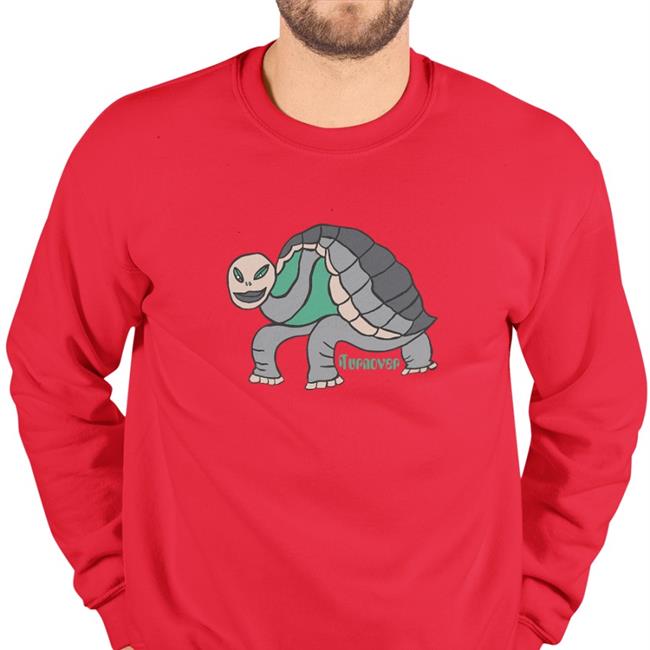 Turnover Turtle Tee Shirt Run For Cover Records Merch Turnover Turtle Shirt