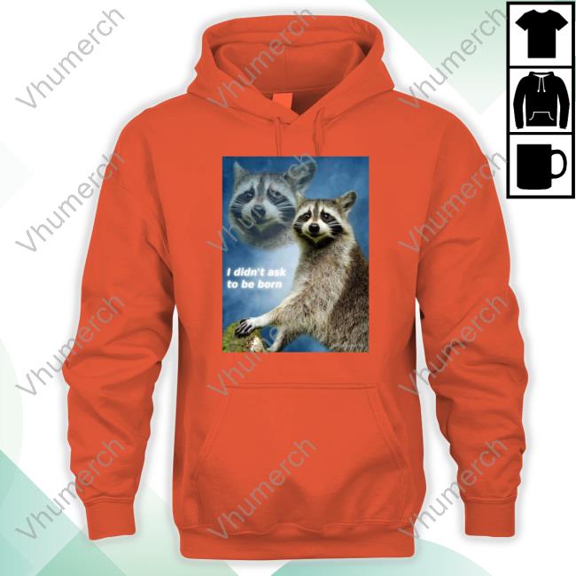 Raccoon Aesthetic I Didn't Ask To Be Born Shirts I Didn't Ask To Be Born Raccoon Aesthetic T Shirt