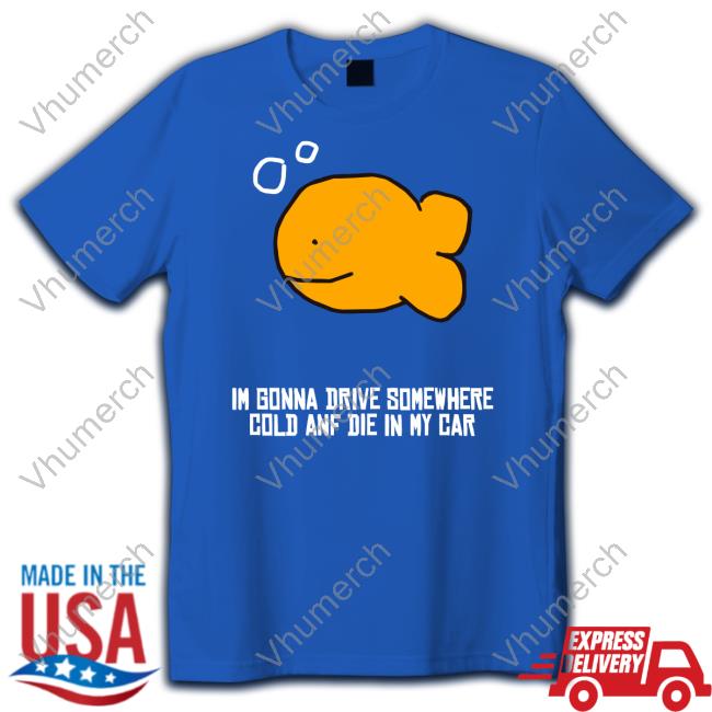 Shirts That Go Hard Im Gonna Drive Somewhere Cold And Die In My Car Hoodie