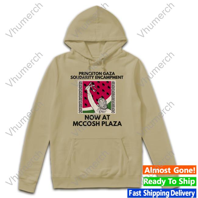 Steve Mcguire Princeton Gaza Solidarity Encampment Now At Mccosh Plaza Hooded Sweatshirt
