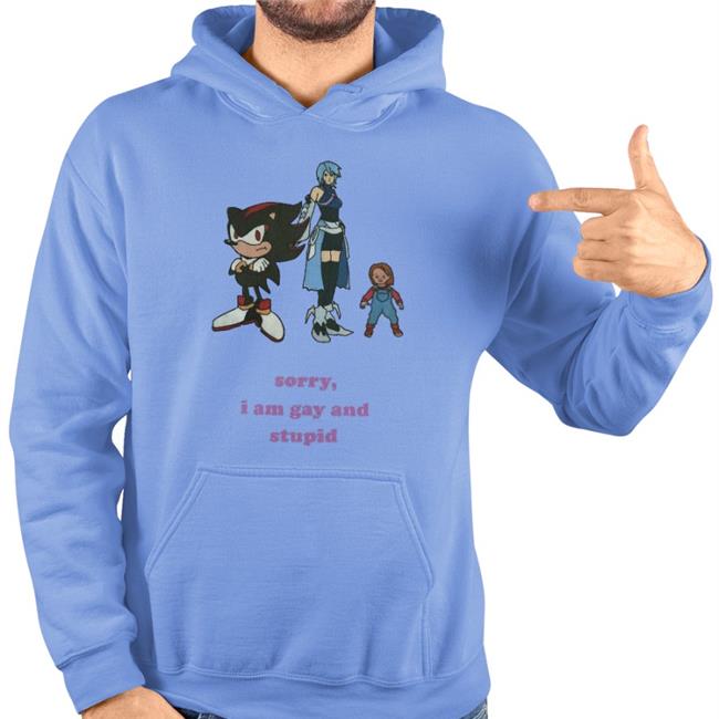 Sorry I'm Gay And Stupid Hoodie