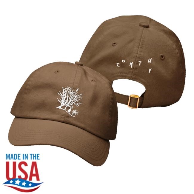 Official Quadeca Merch Brown Idmthy Twill Cap