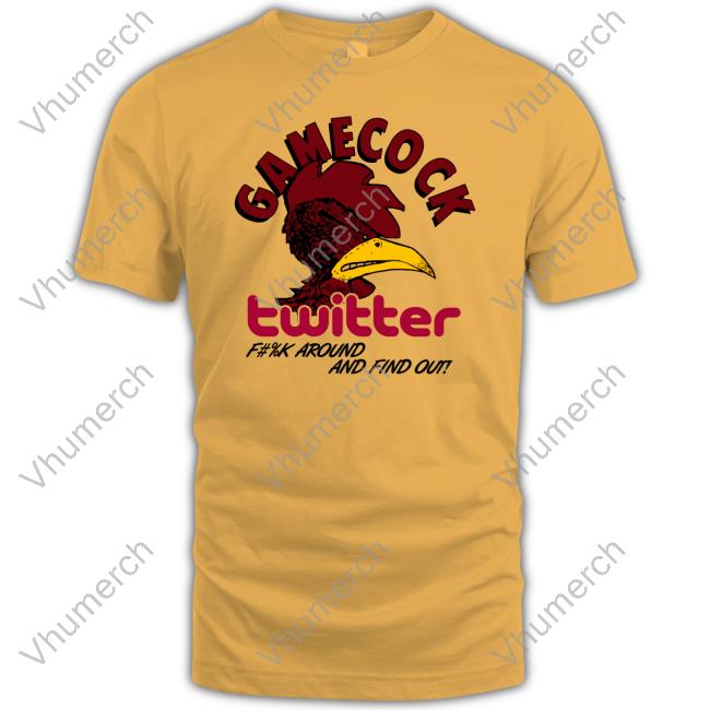 Gamecock Twitter Fuck Around And Find Out Hoodie