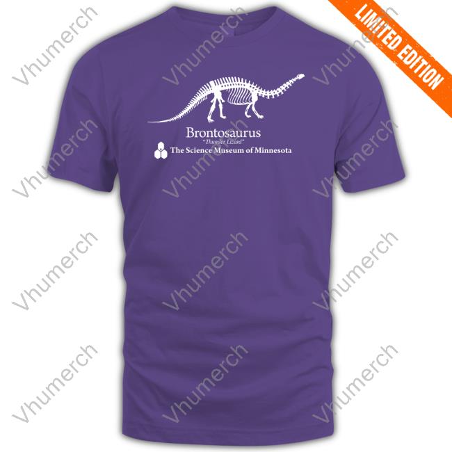 Dustin Wearing Brontosaurus Shirt Stranger Things