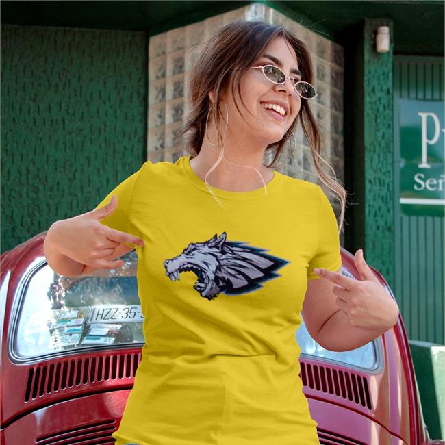 Dog Mentality Mixed Philadelphia Eagles Long Sleeve Tee Shirt