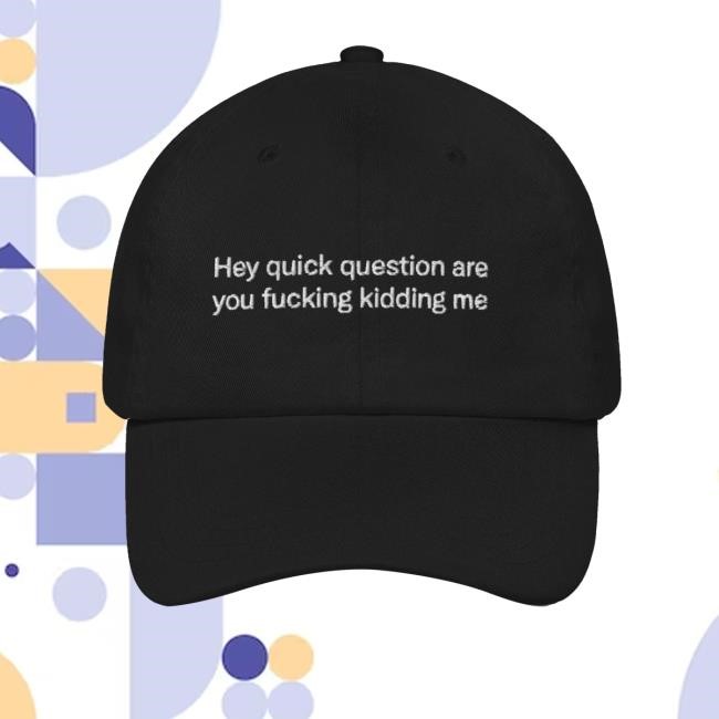 Hey Quick Question Are You Fucking Kidding Me New Cap