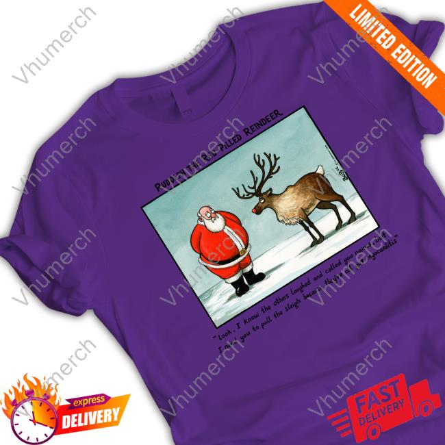 Rudolph The Red-Pilled Reindeer Look I Know The Others Laughed Hoodie