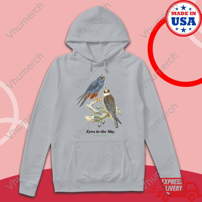 Birds Aren't Real Eyes In The Sky Birds Aren't Sweatshirt