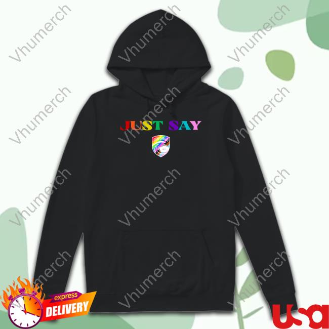 San Diego Wave Fc Just Say Gay Hoodie
